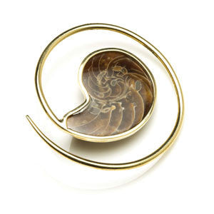1x Brass Ammonite Ear Weight Spiral - BRSPIRAL52