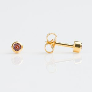 Studex Regular Gold Plated Bezel Studs - Pack of 12