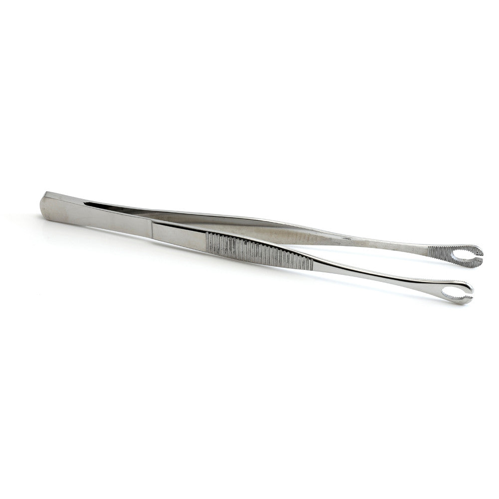 Mini Sponge Tweezers with Slot