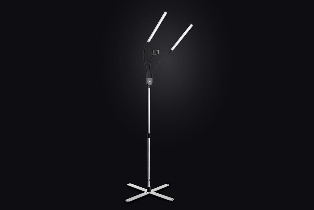 Daylight Gemini