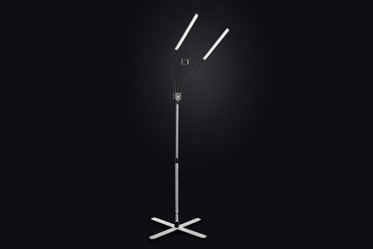 Daylight Gemini