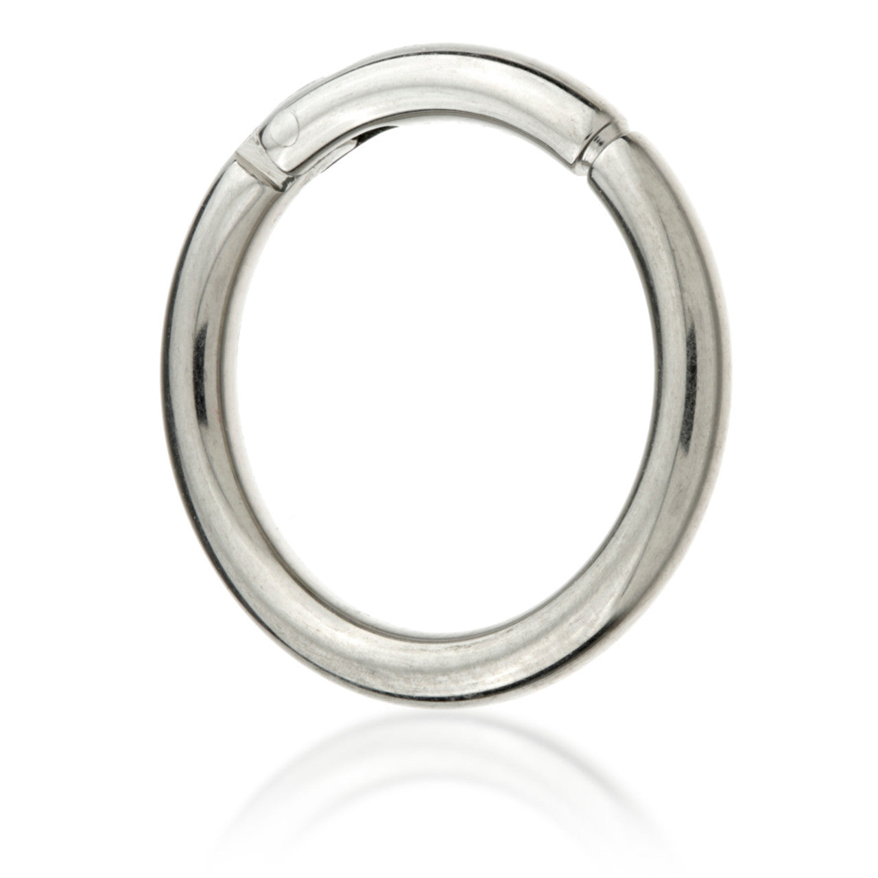 Segment Rig Niobium Hinged Segment Ring | Wholesale Body Jewellery