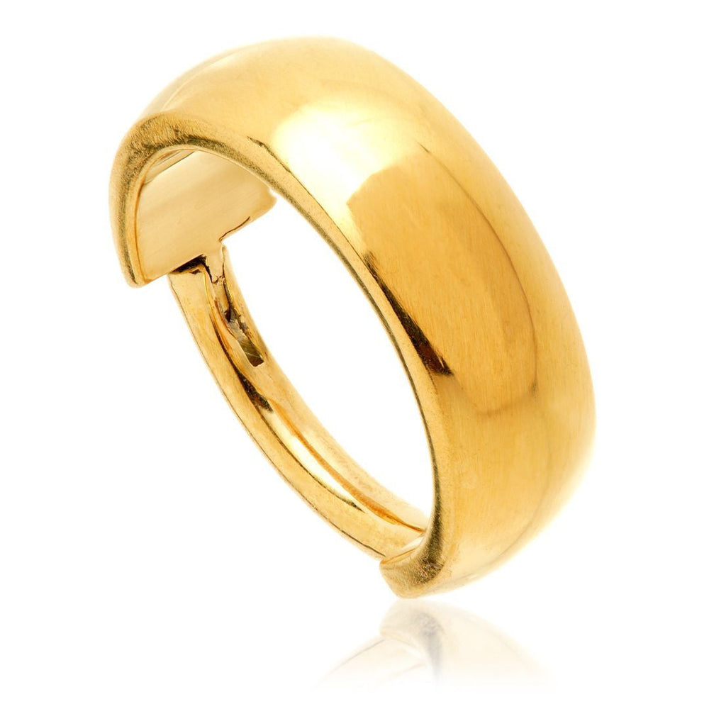 Zircon Gold Titanium Plain Band Hinge Ring